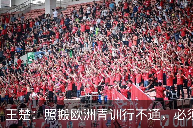 王楚：照搬欧洲青训行不通，必须培养出有自主决策能力的球员